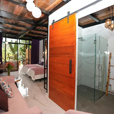 Suites Casa Colibri Mindo Exterior photo