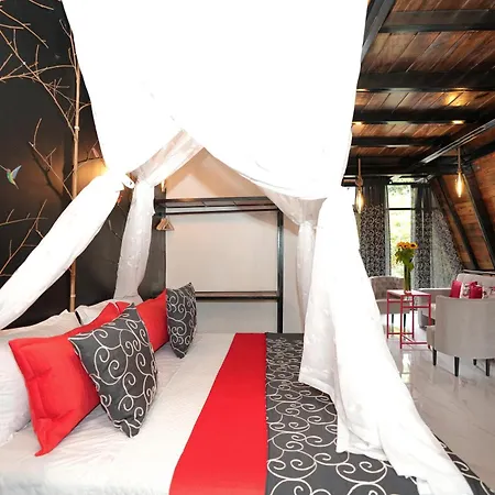 Suites Casa Colibri Mindo Exterior photo